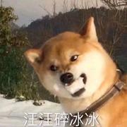 阿古达木的个人资料头像