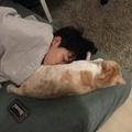 hzl94头像