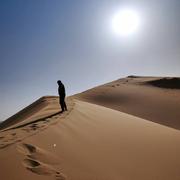 Ambros的个人资料头像