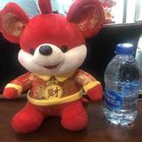佐佐77头像