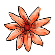 小橘子755的个人资料头像