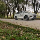 恩施金旭长安李阳头像