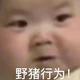 直爽海浪ip头像