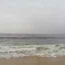 sky_bear的个人资料头像