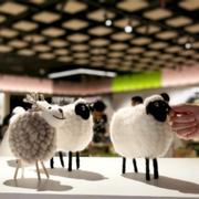 机智帅气的波波的个人资料头像