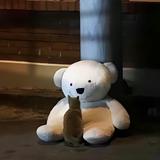 北方81806头像