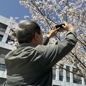 云起半山头像