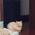 用户8417038744785头像