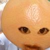 用户2030311283529头像