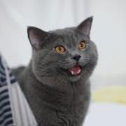 小何才露尖尖角279的个人资料头像