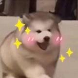 眼镜3615头像