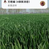 大气源头像
