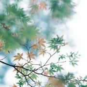 黄骏570的个人资料头像