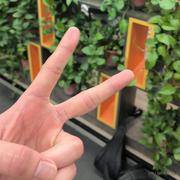 哎呀我说命运呐的个人资料头像