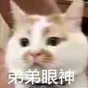 无情的编码工具的个人资料头像