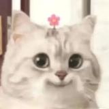 快乐西柚nl头像