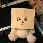 刘肉面的个人资料头像