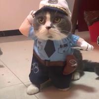 黑猫电影日记头像