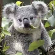 Noti13054的个人资料头像