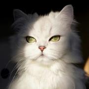 S737的个人资料头像