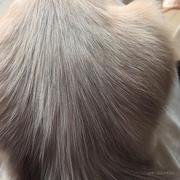 猫pp的个人资料头像