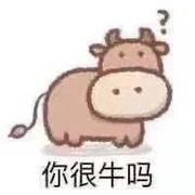 littlefogcat的个人资料头像