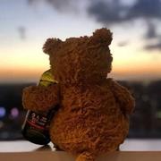 become_the_wind的个人资料头像