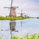 忠于自己同学的个人资料头像