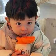 Sqcop的个人资料头像