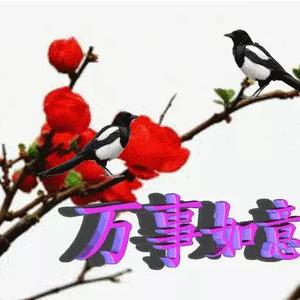 在水一方xxb头像