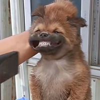 手机用户6288963141头像