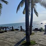浔人赣饭头像