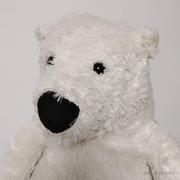 白熊小北极的个人资料头像