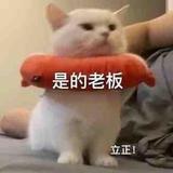 芋头钵钵鸡头像
