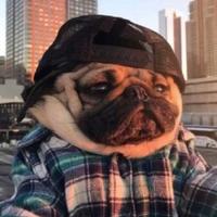 用户9983124897119头像