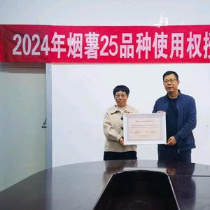 红薯姐2X7P头像