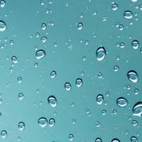 分秒必争奶酪xdv头像