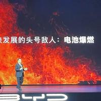 泰迪专业养殖户头像