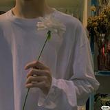 春风十里6898头像