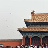 亲切星球1E头像