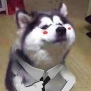 用户30315610512的个人资料头像