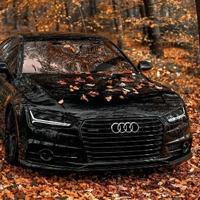 小婧不当兵长头像