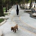 福坏坏头像