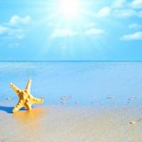 用户498518747383头像