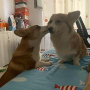 宣华的化_的个人资料头像