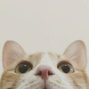 我也不知道呀的个人资料头像