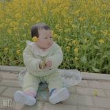 七寸光年i709头像