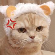 想逃的猫的个人资料头像