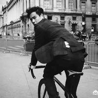 路遥知马力alb头像