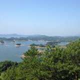 小陶通讯头像